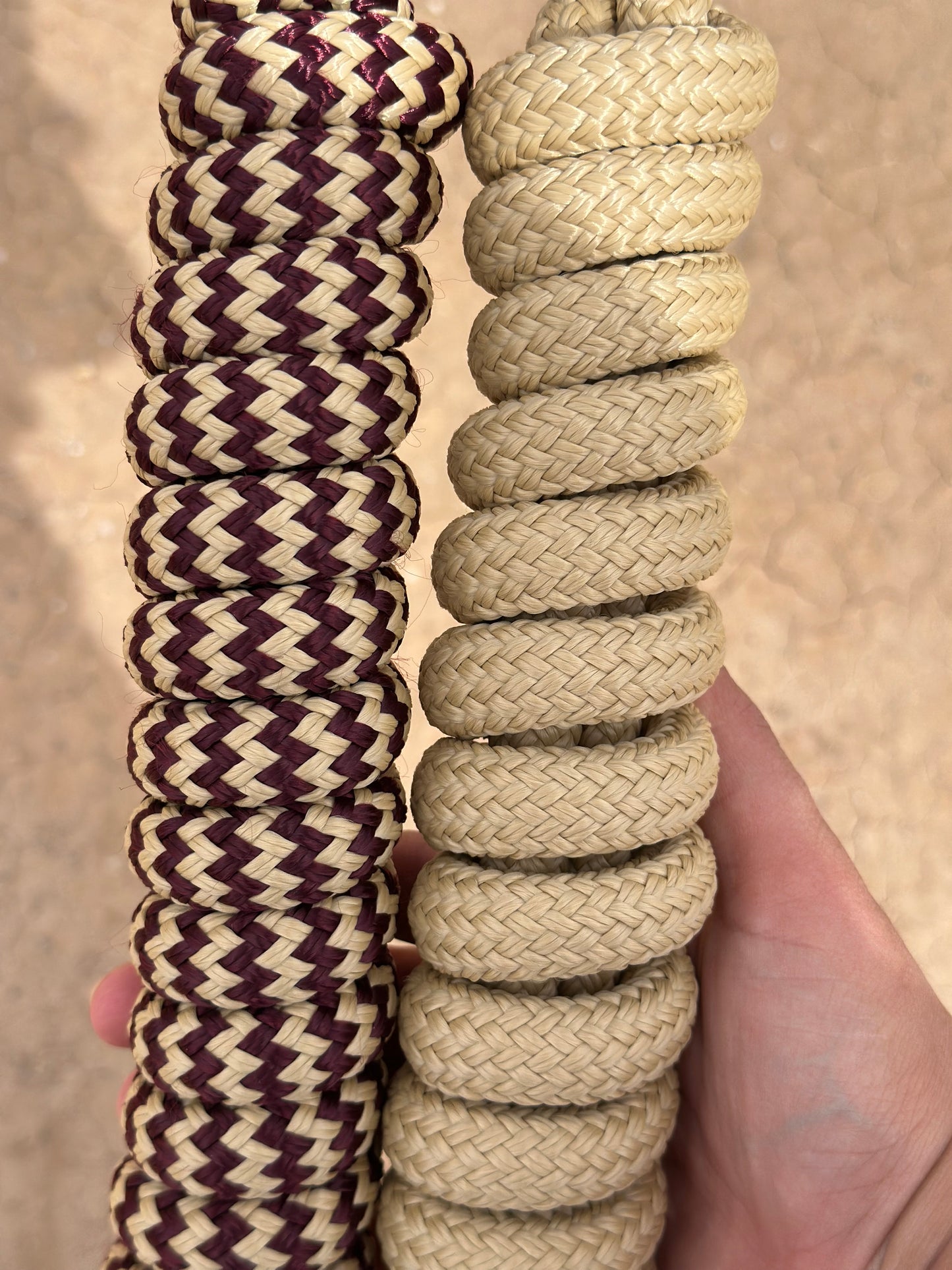 Tan Halter with Burgandy and Tan Lead