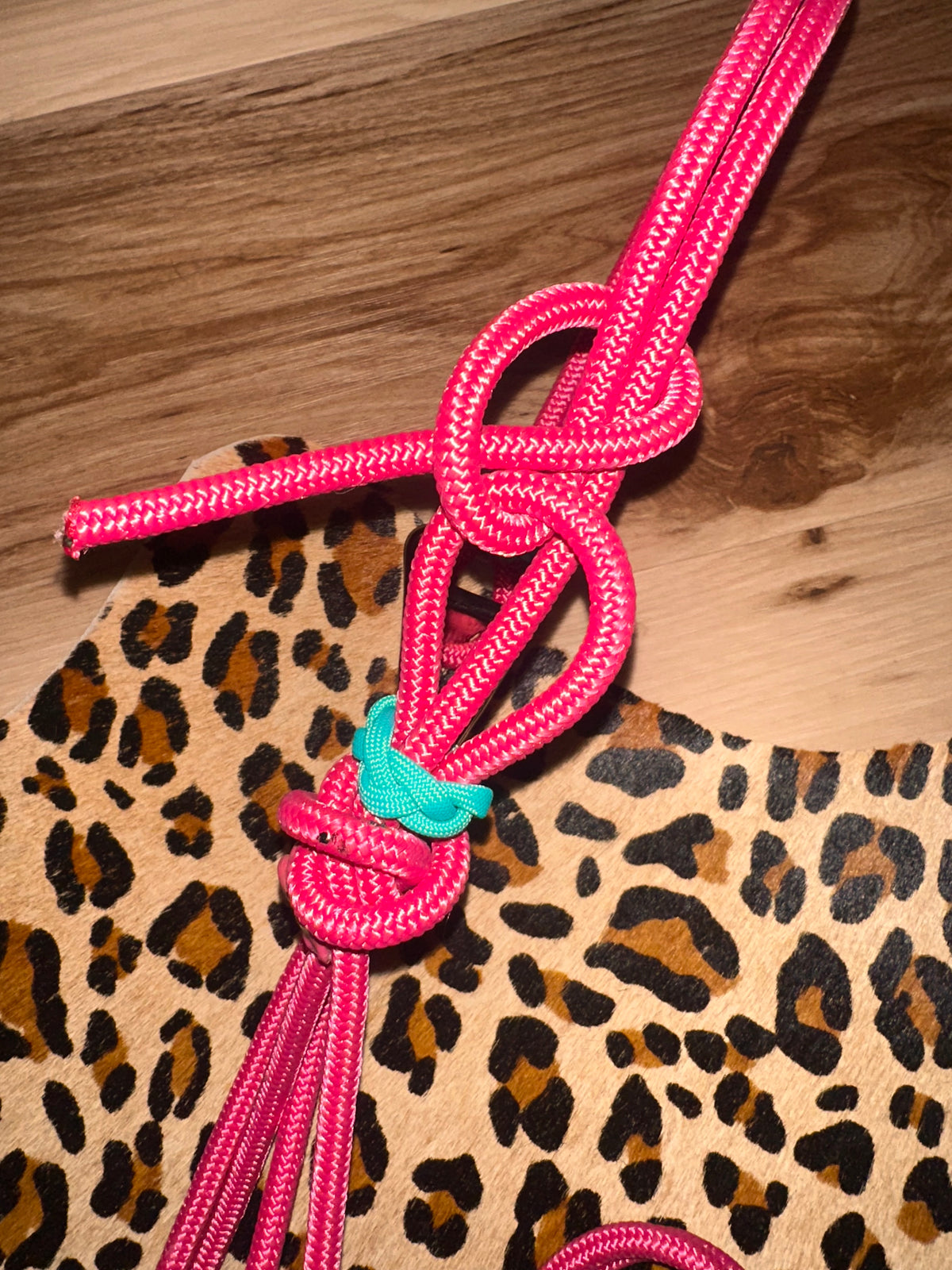 Ready to Ship - Raspberry Standard Easy Hook Rope Halter