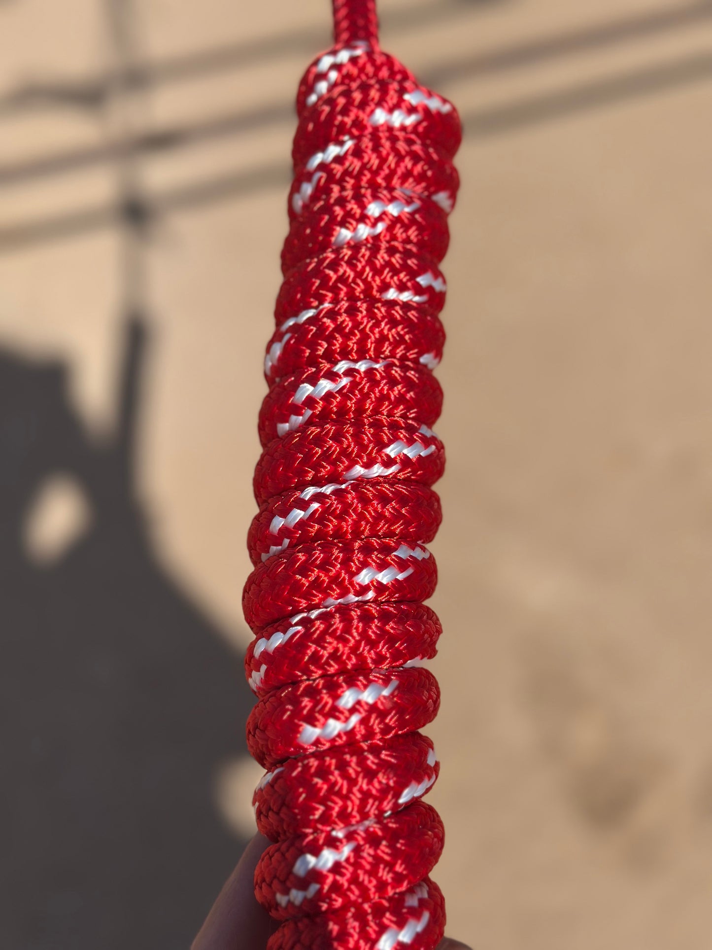 Red Easy Hook Halter with Red and White lead