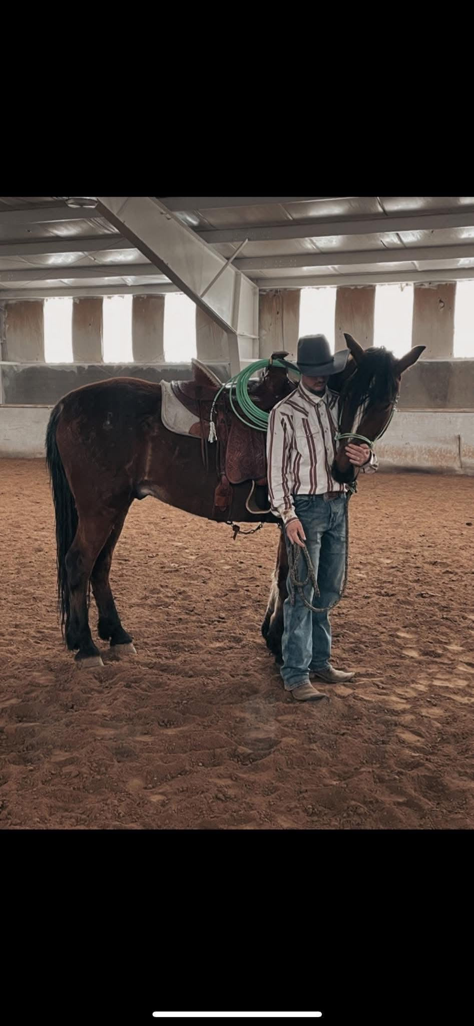 Draft Sized Rope Halter Easy Hook