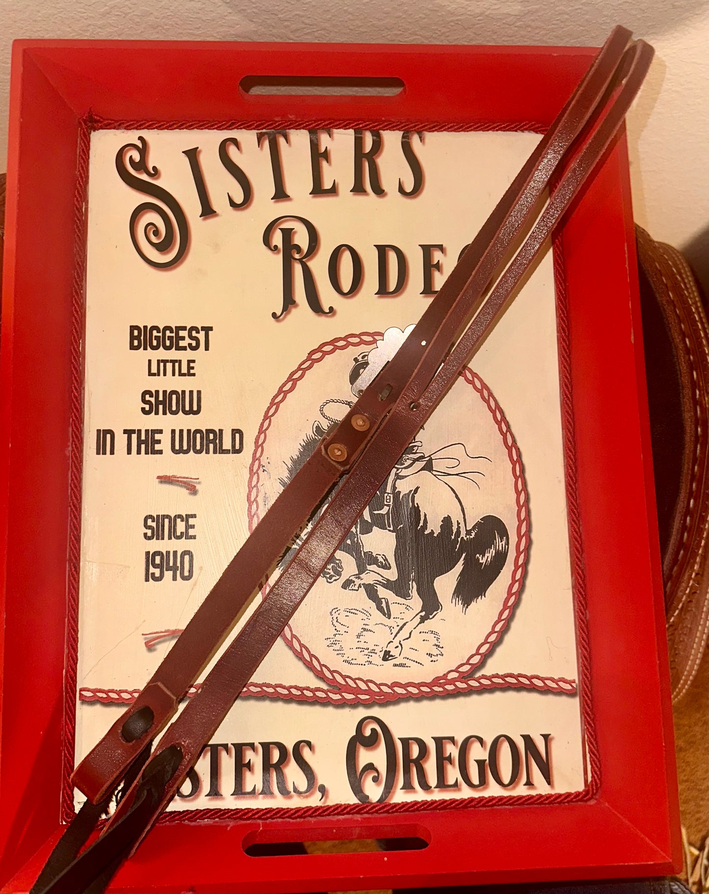 Split Ear Headstall with Turquoise Buckle