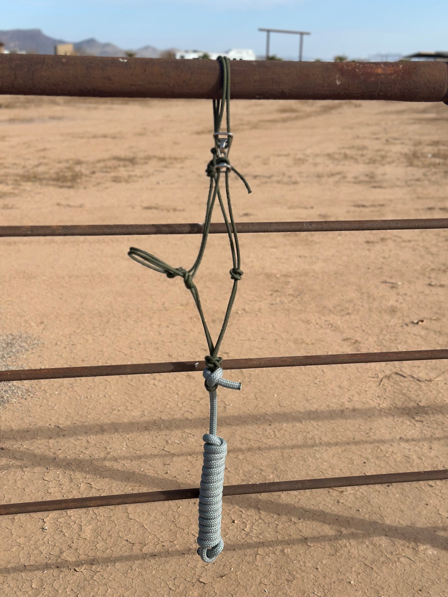 Olive Easy Hook Halter with Silver Lead Rope