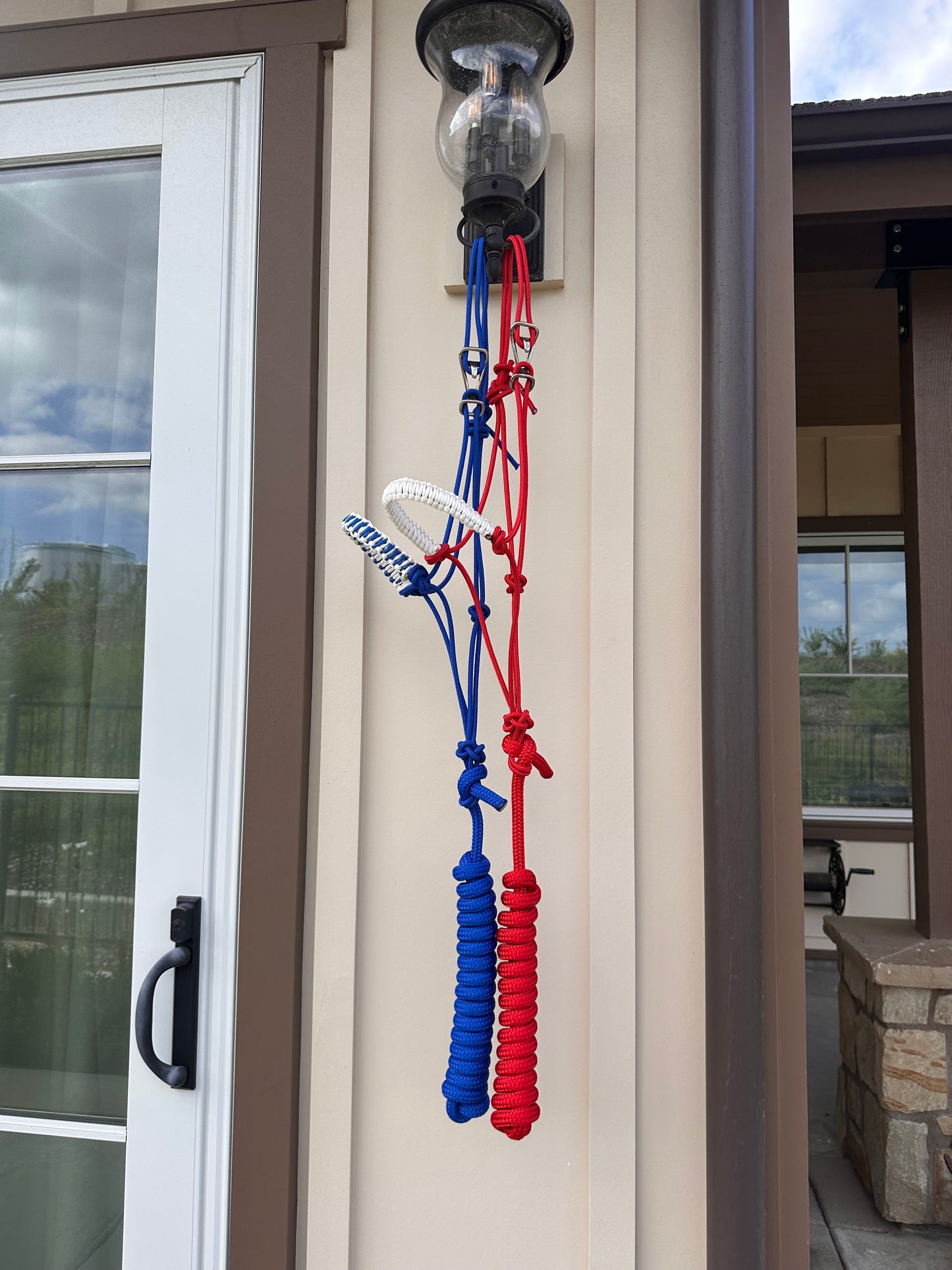Easy Hook Halter with Braided Noseband