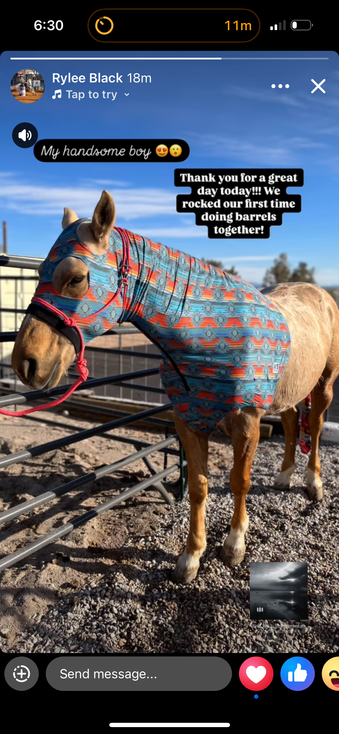 Bright Pink Easy Hook Halter