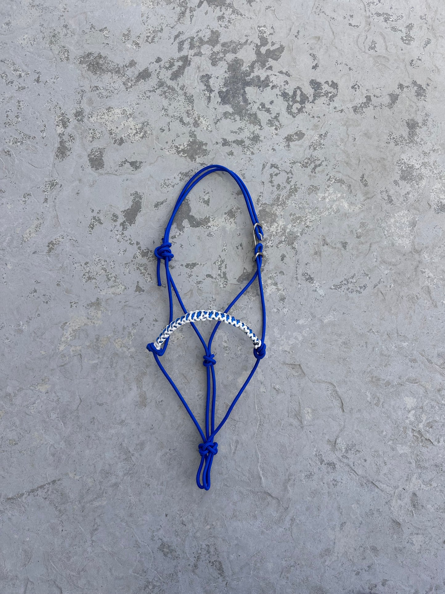 Easy Hook Halter with Braided Noseband