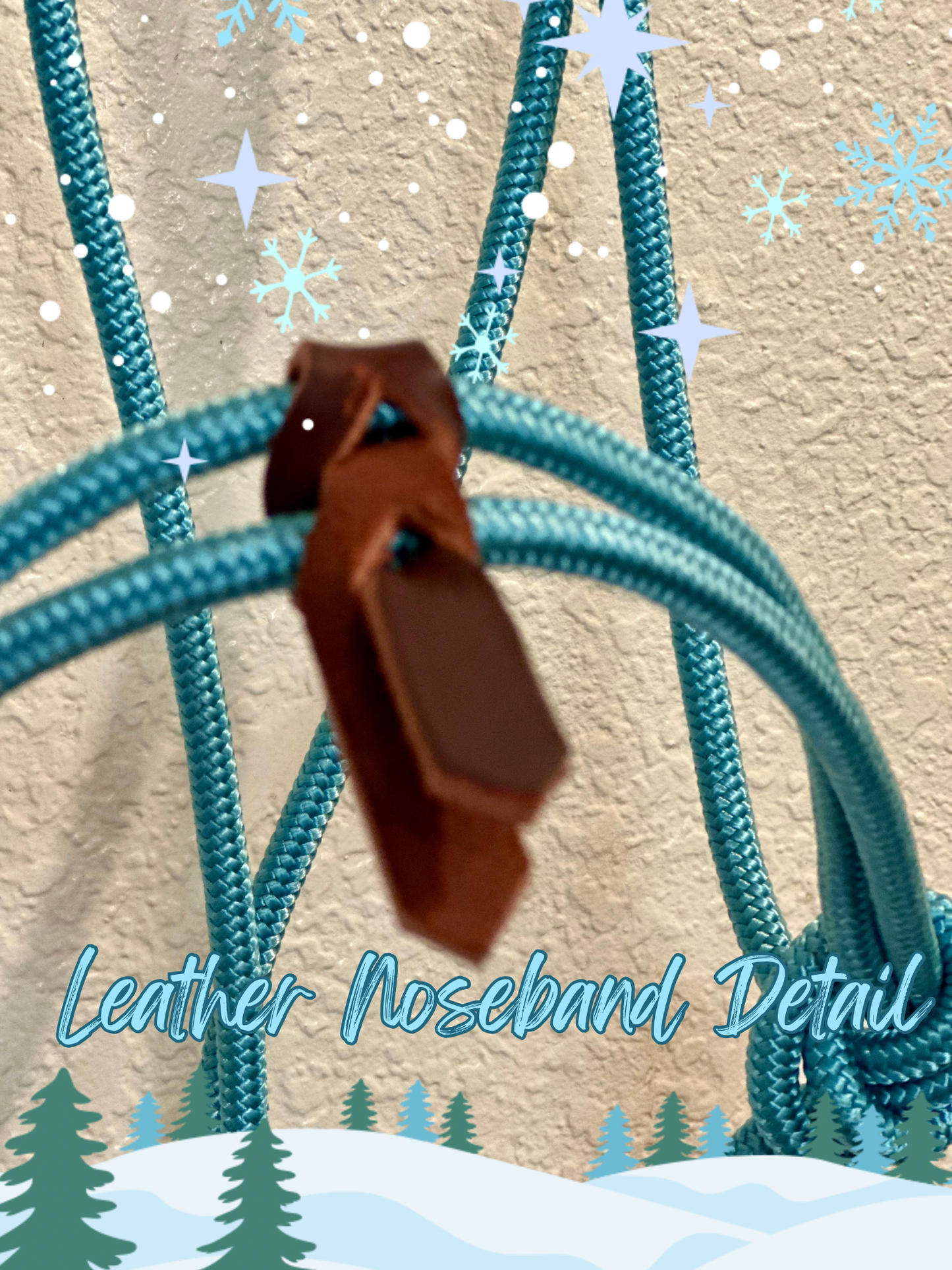 Official Winter Halter