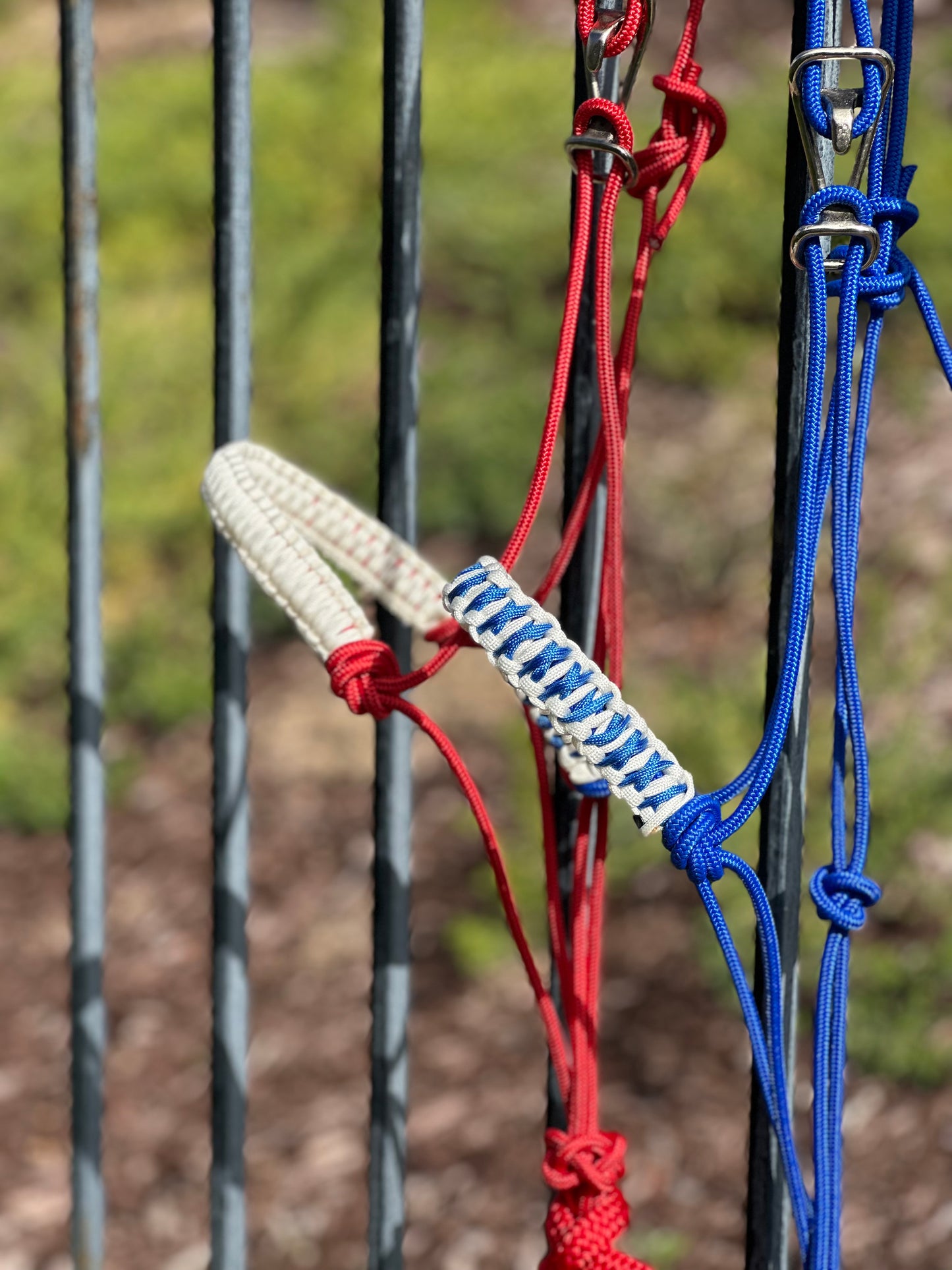 Easy Hook Halter with Braided Noseband