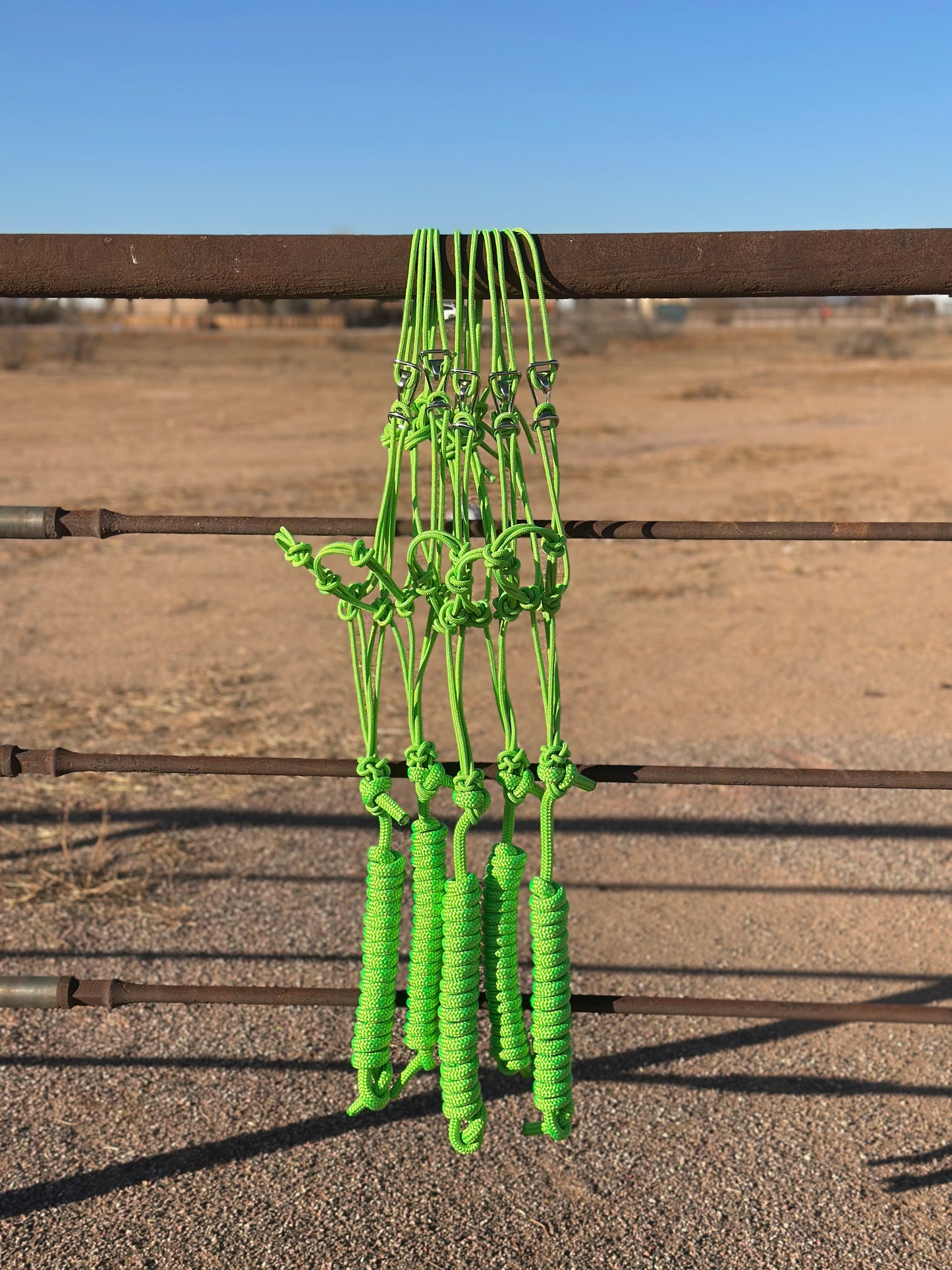 Lime Green Easy Hook Halter - four knot noseband