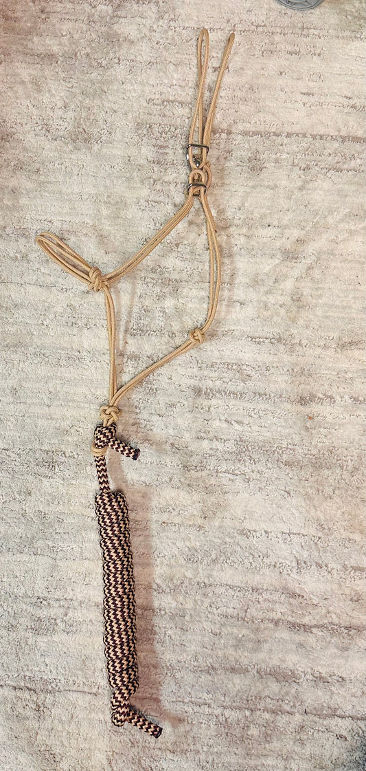 Tan Halter with Burgandy and Tan Lead