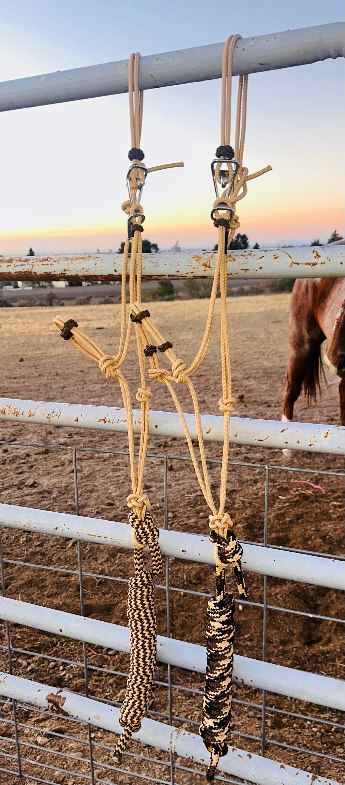 Four Button Noseband Easy Hook Rope Halter - Custom Color