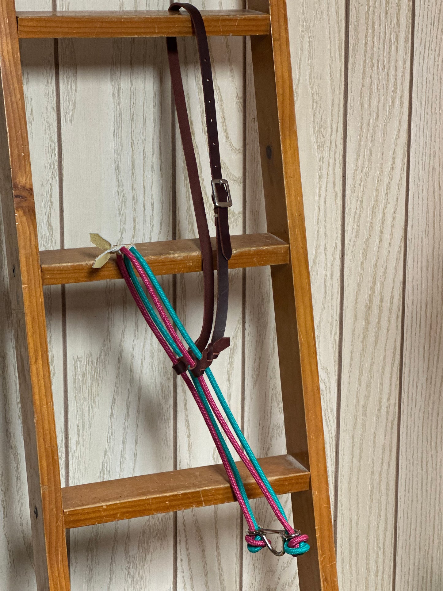 Turquoise & Pink Tie Down