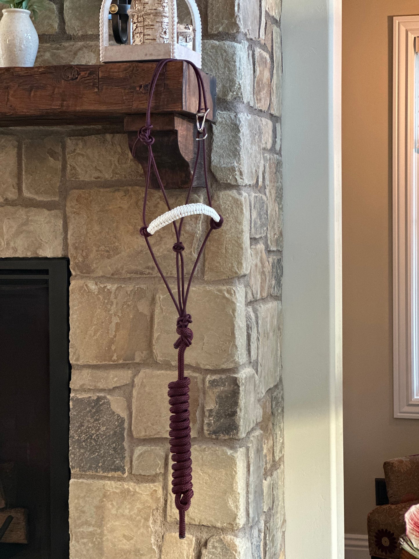 Easy Hook Halter with Braided Noseband