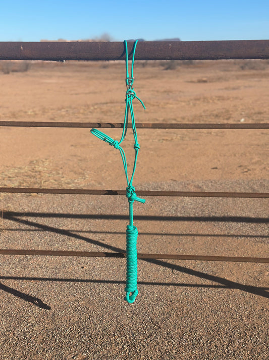 Turquoise Easy Hook Halter