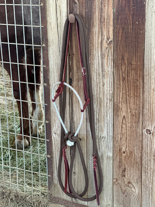 Loping Hackamore