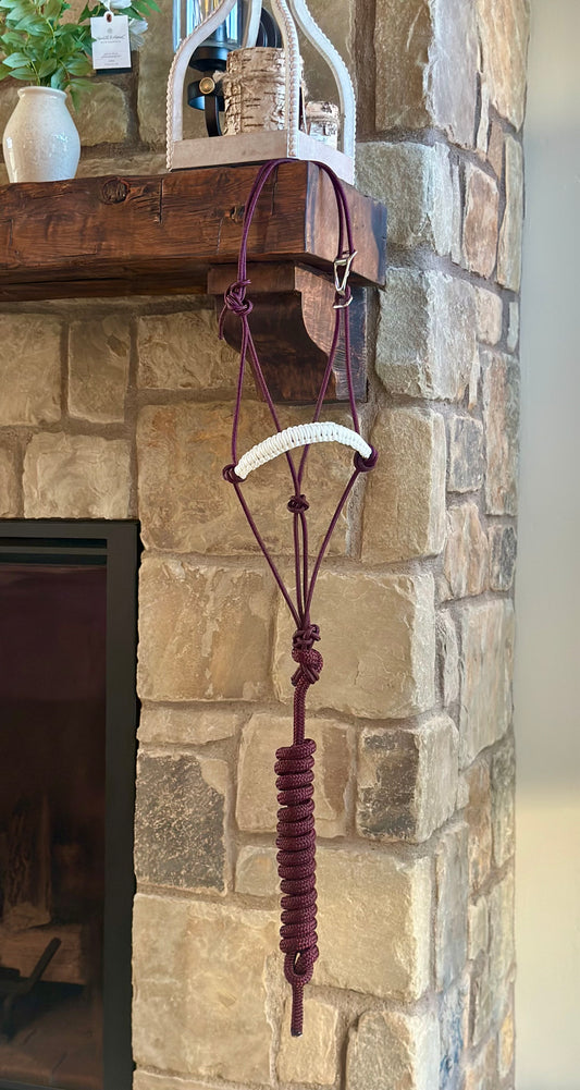 Easy Hook Halter with Braided Noseband