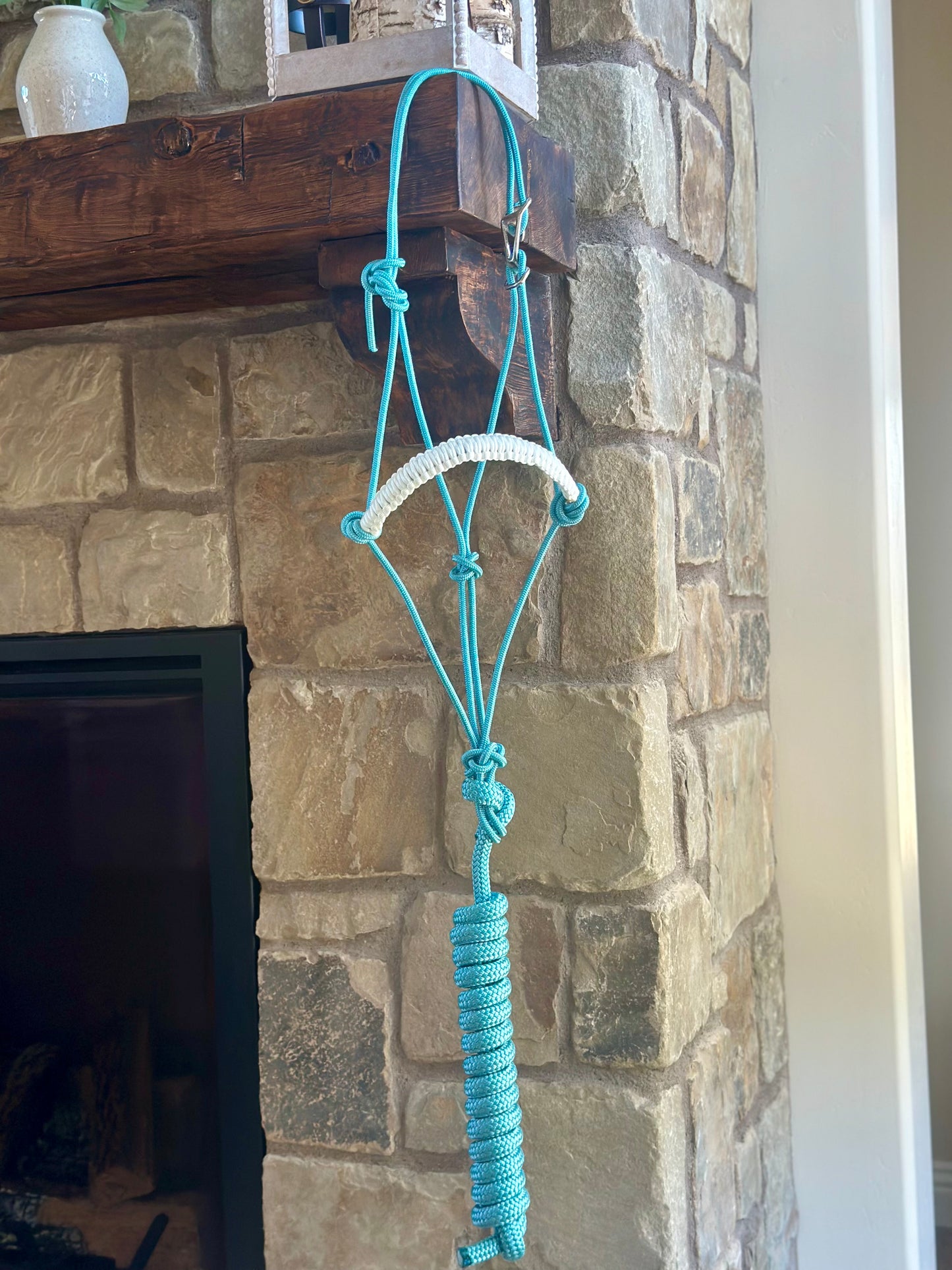 Easy Hook Halter with Braided Noseband