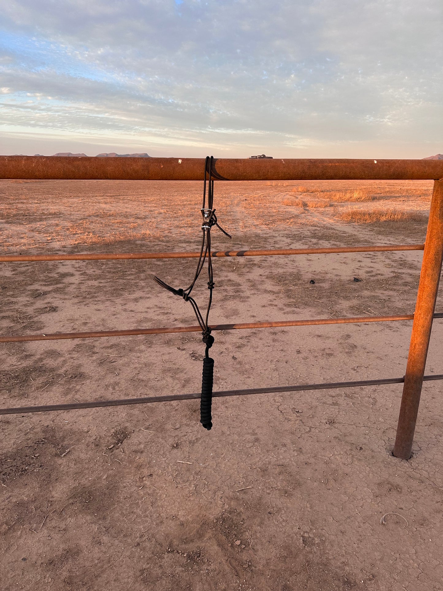 Black Easy Hook Rope Halter