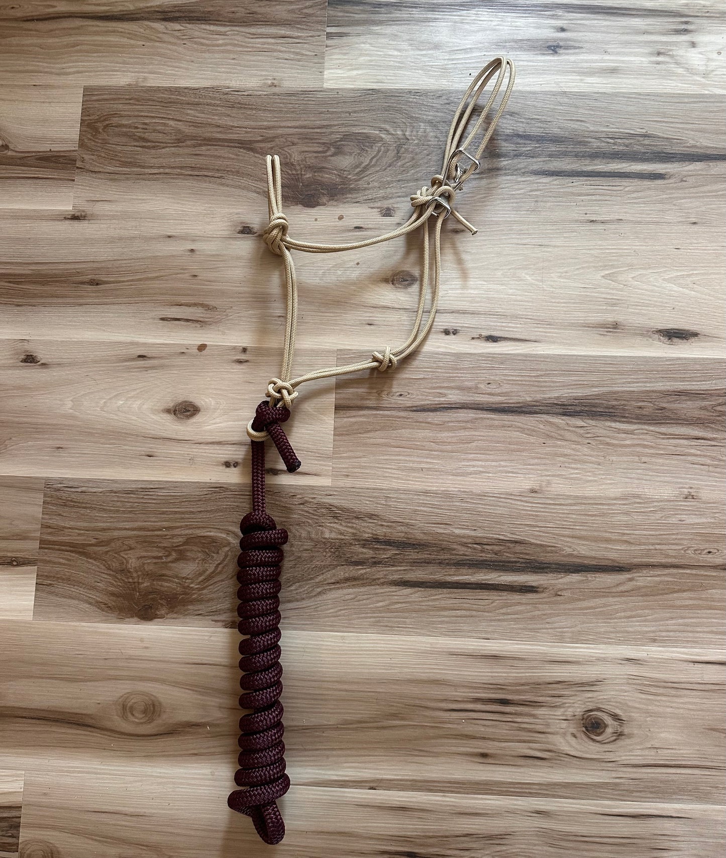 Yearling Easy Hook Rope Halter with Leadrope