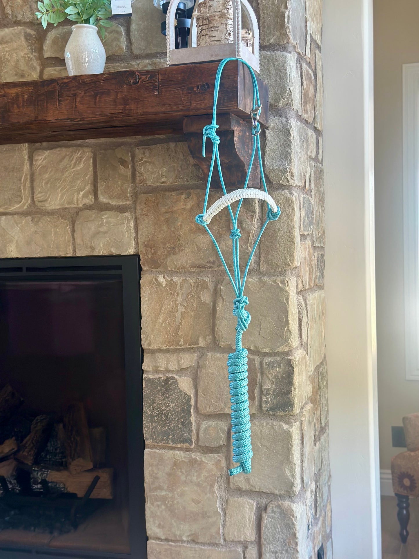 Easy Hook Halter with Braided Noseband