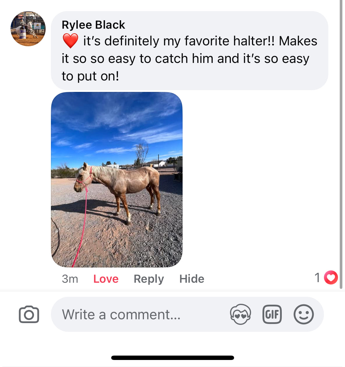 Bright Pink Easy Hook Halter