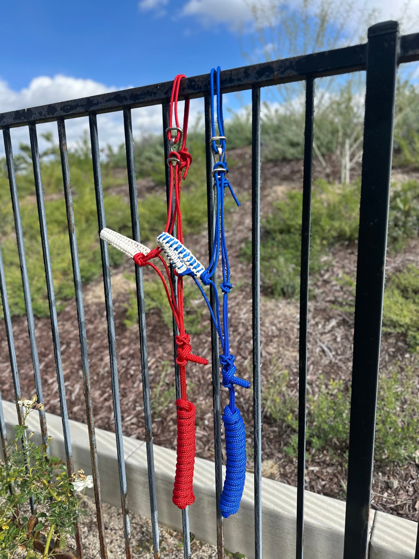 Easy Hook Halter with Braided Noseband