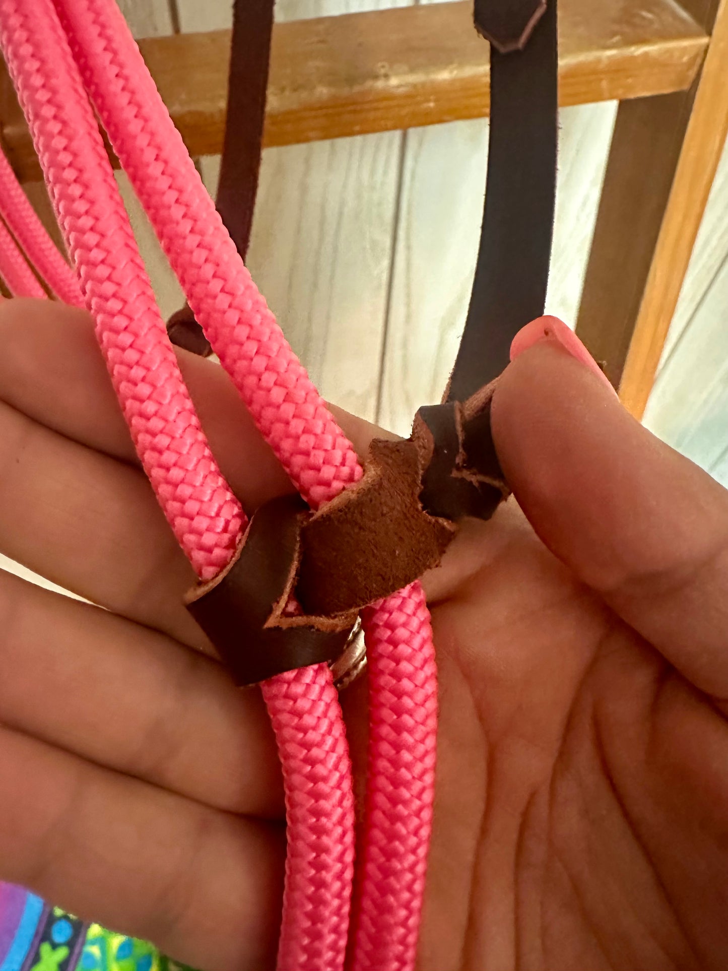 Bubblegum Pink Tie Down