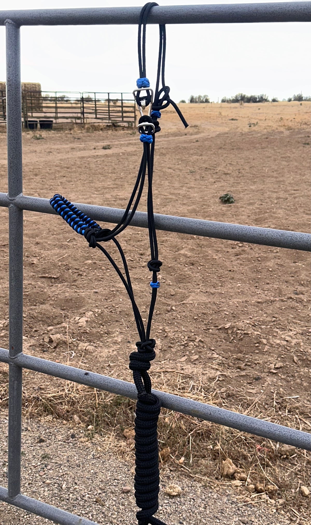 Blue & Black Braided Noseband Easy Hook Rope Halter