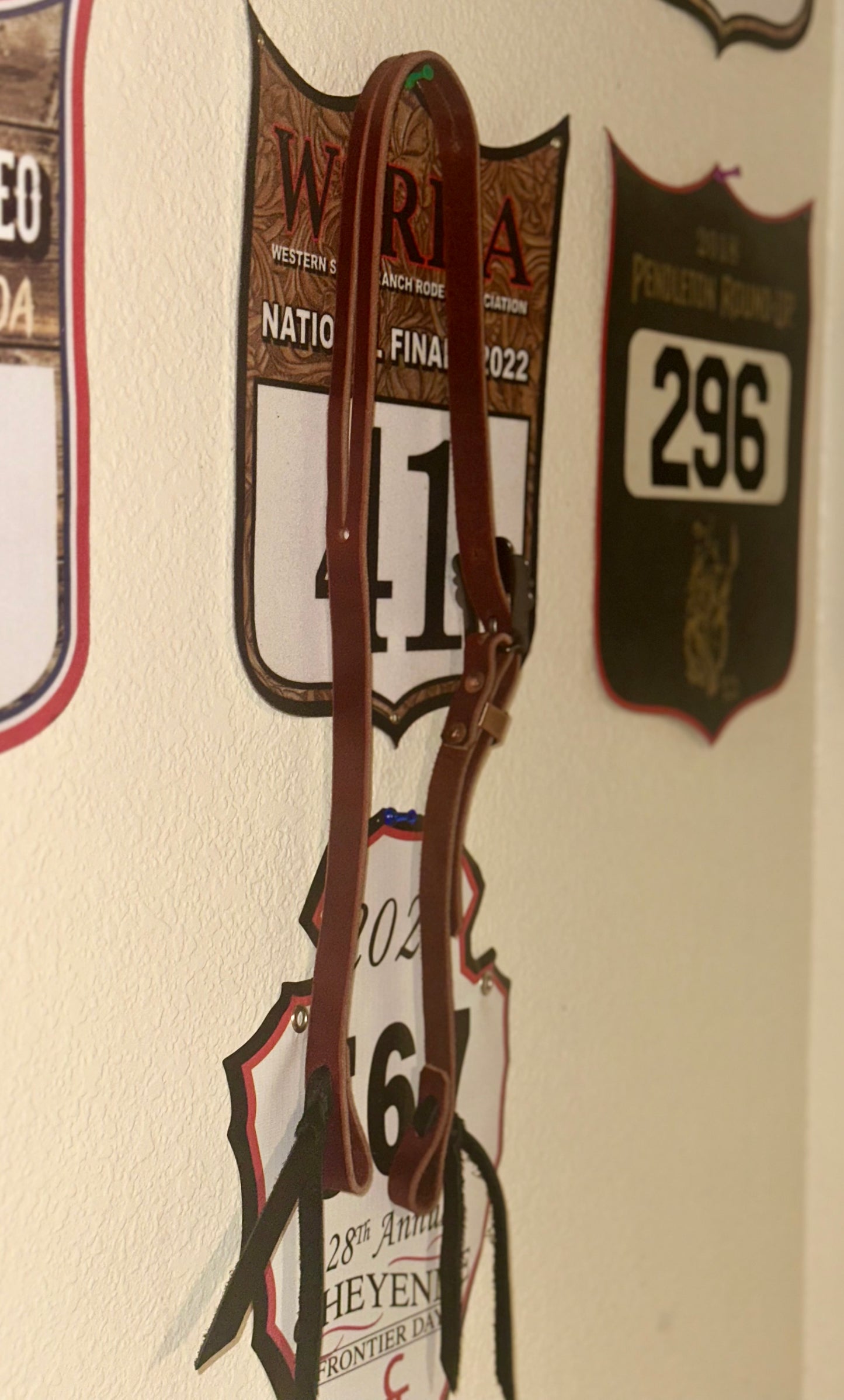 Split Ear Headstall with Turquoise Buckle