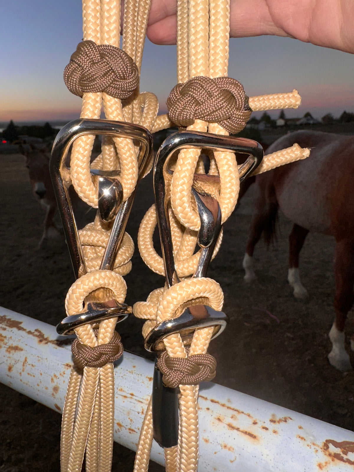 Four Button Noseband Easy Hook Rope Halter - Custom Color
