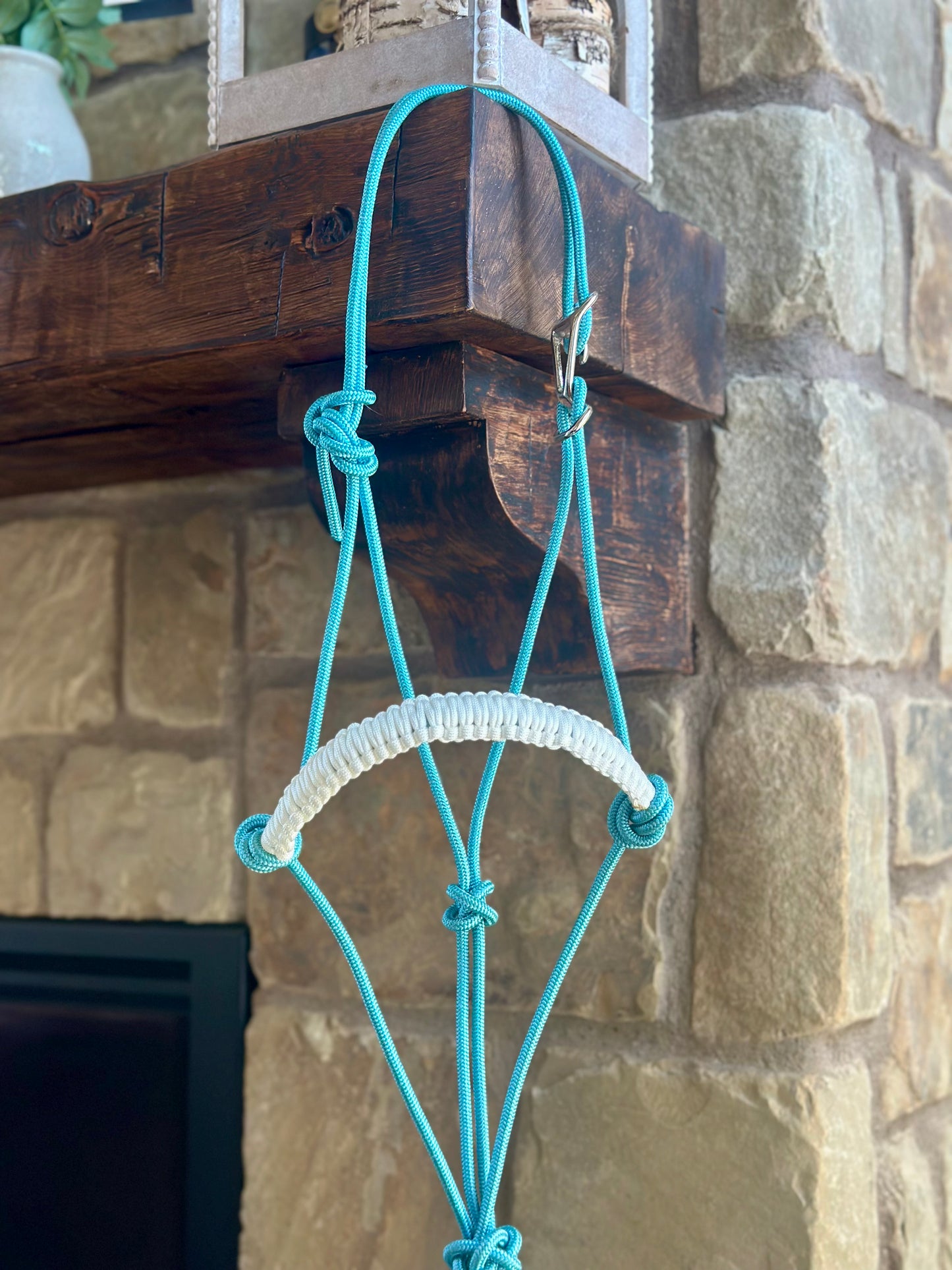 Easy Hook Halter with Braided Noseband