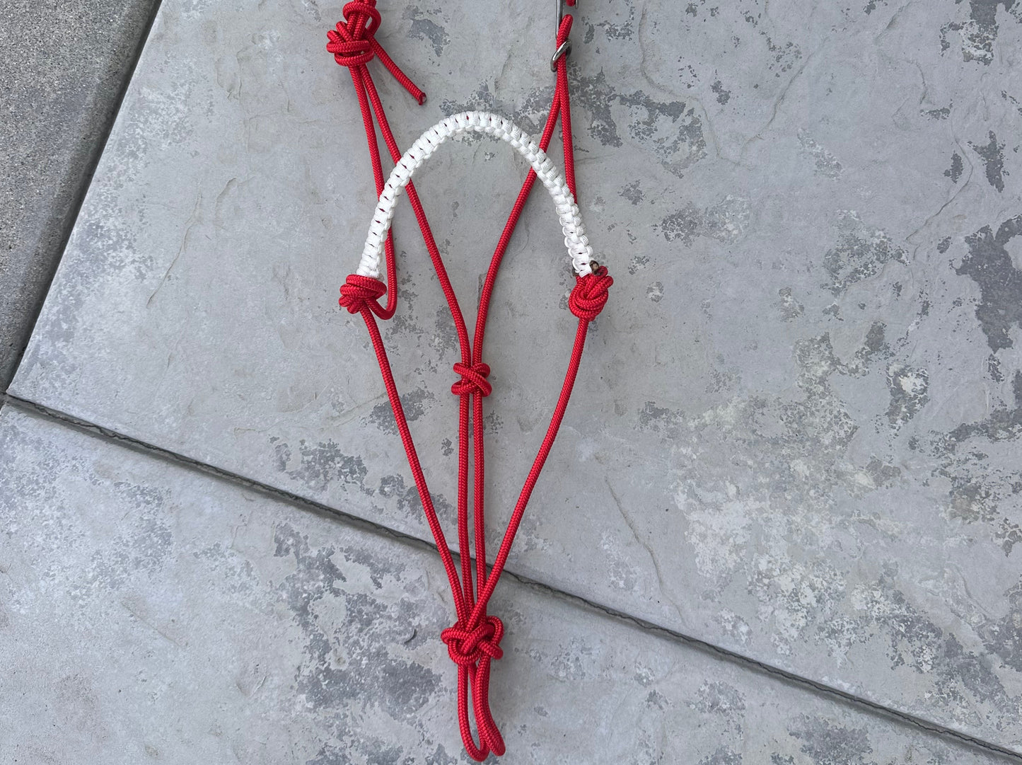 Easy Hook Halter with Braided Noseband