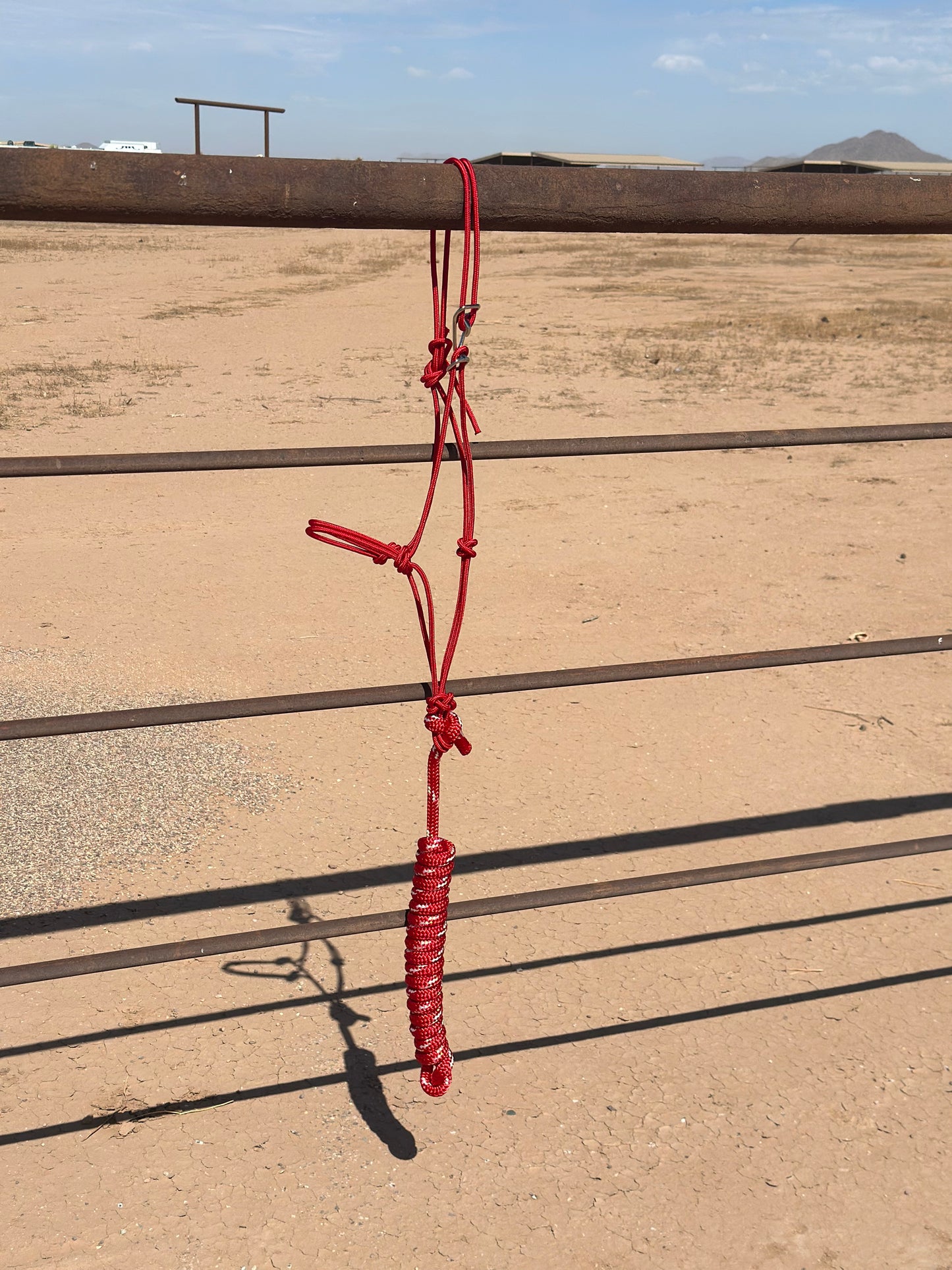 Red Easy Hook Halter with Red and White lead