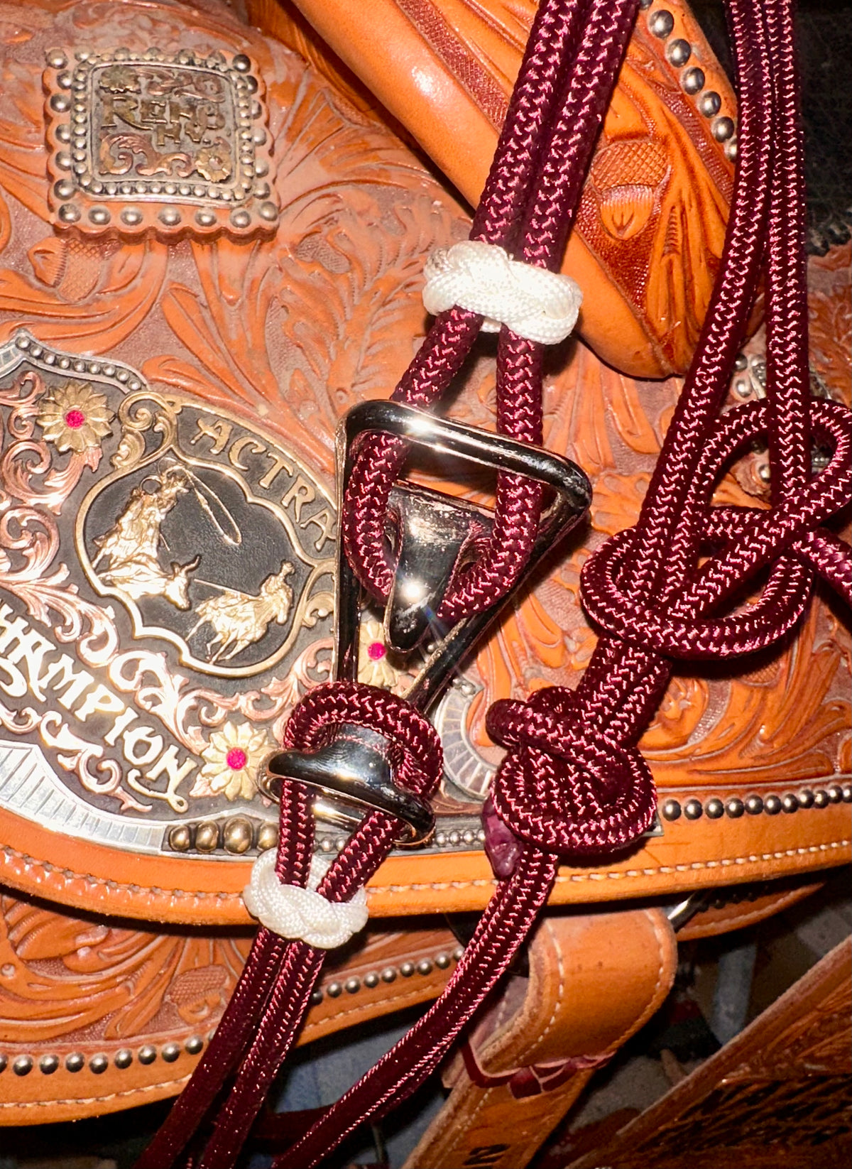 Wine & White Noseband Halter