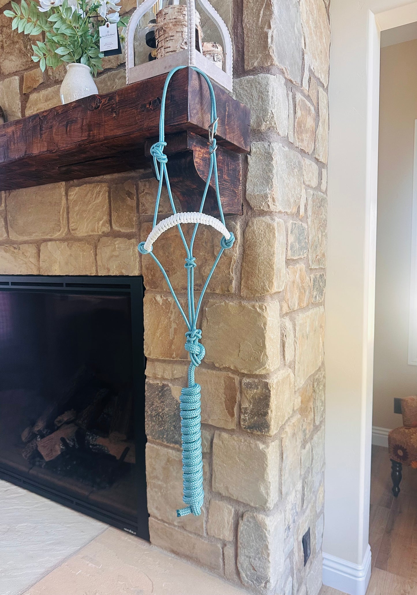 Easy Hook Halter with Braided Noseband