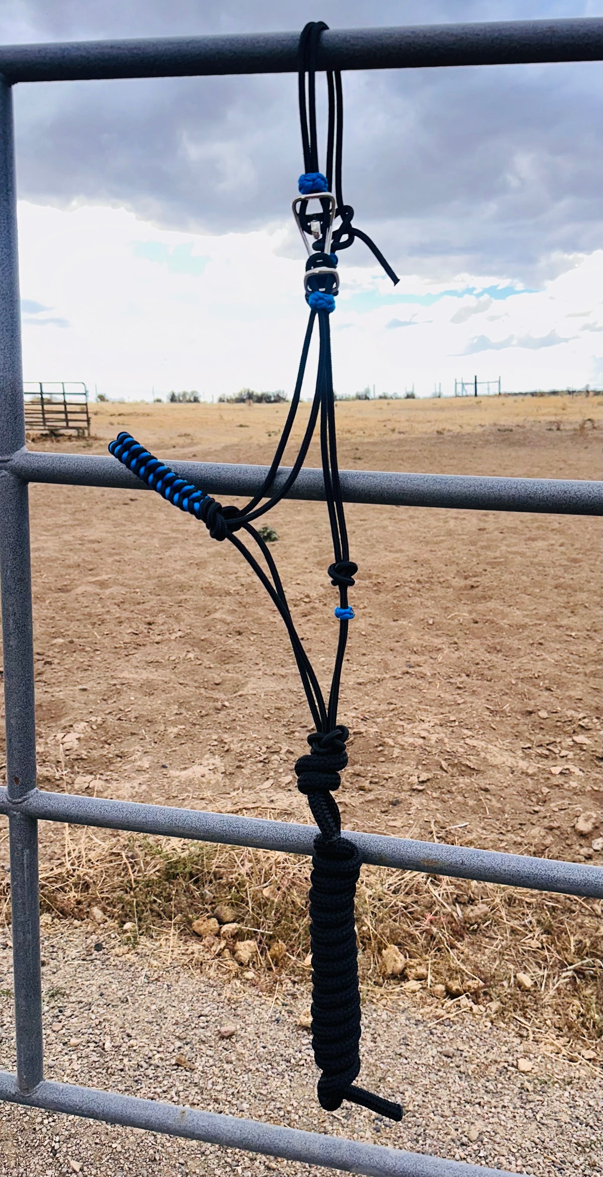 Blue & Black Braided Noseband Easy Hook Rope Halter