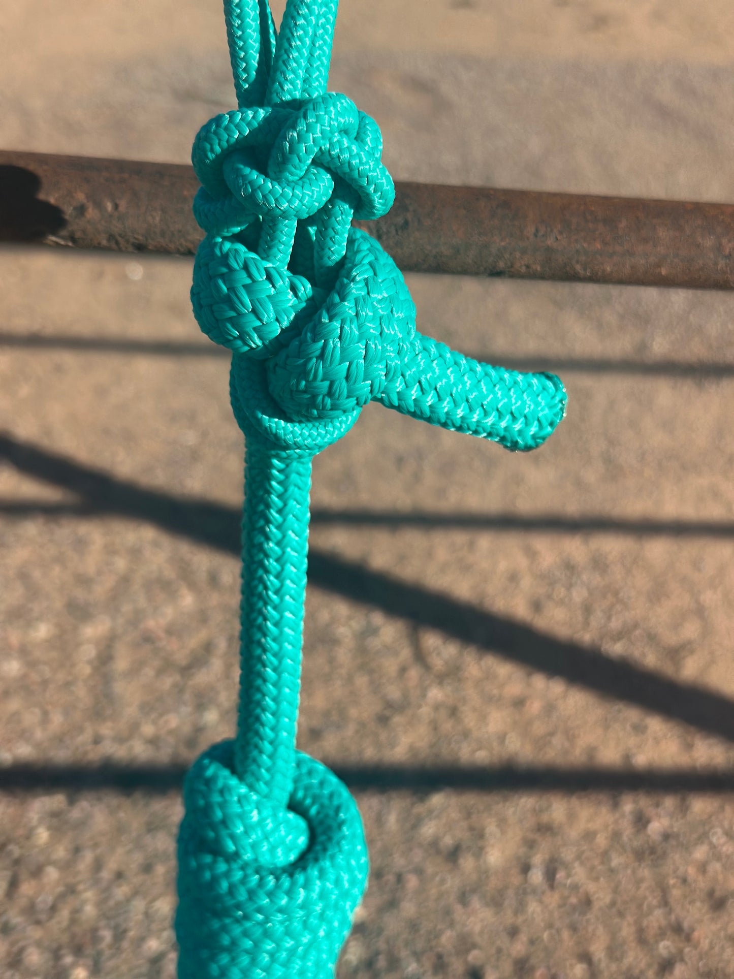 Turquoise Easy Hook Halter