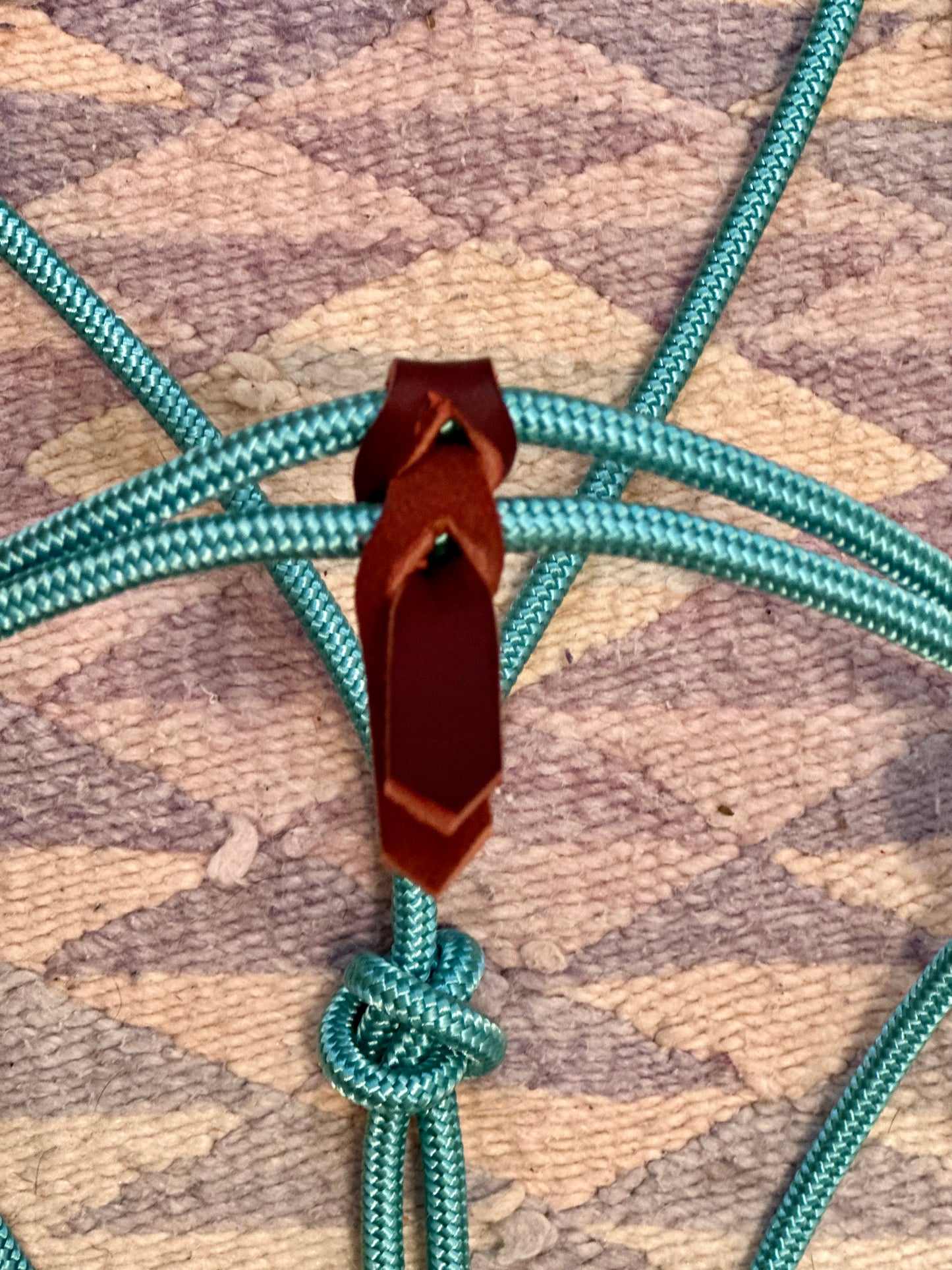 Official Winter Halter