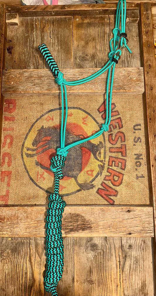 Turquoise and Black Easy Hook Rope Halter with noseband