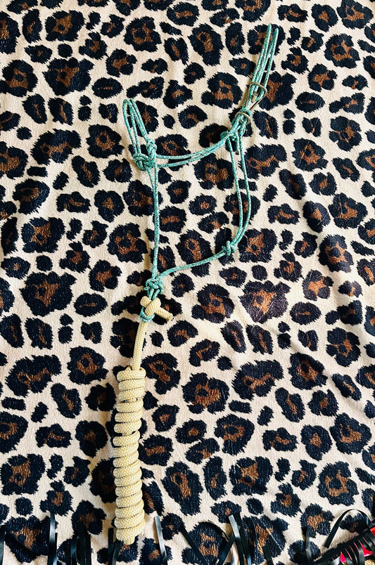 Turquoise Camo Halter with Tan Leadrope