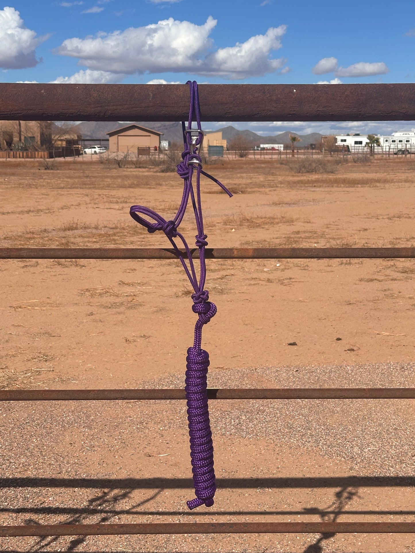 MINI OR FOAL size -  Easy Hook Rope Halter