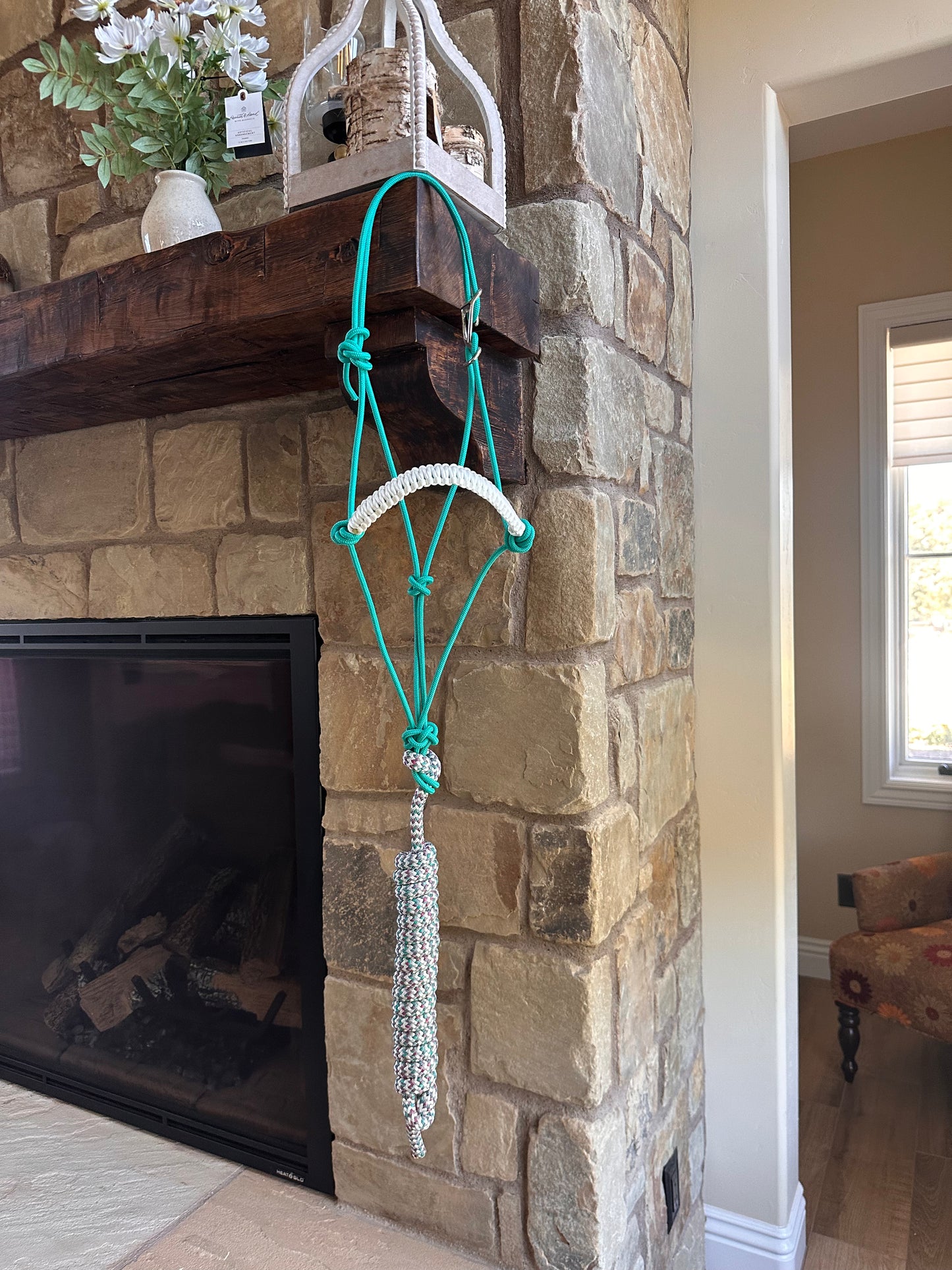 Easy Hook Halter with Braided Noseband